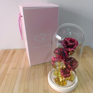 Cam Fanus İçerisinde Üçlü Gül