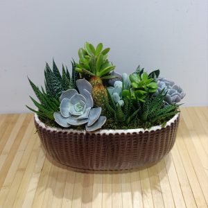 Kahverengi Kap İçerisinde Sukulent Aranjman