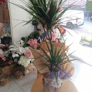 salon çiçeği